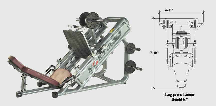 Gym Equipment